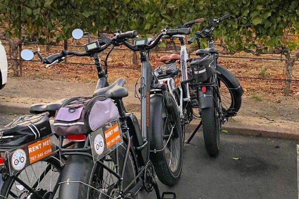 FAT TIRE BIKE RENTALS