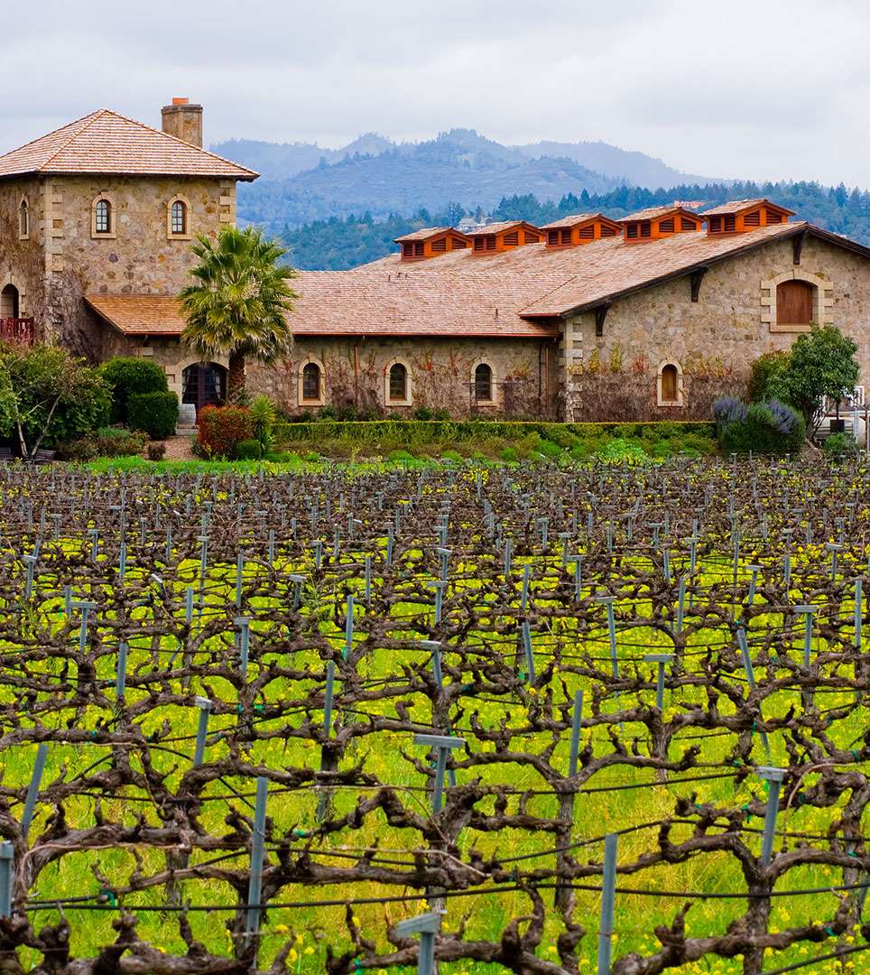  THE BEST OF NAPA IS JUST STEPS AWAY